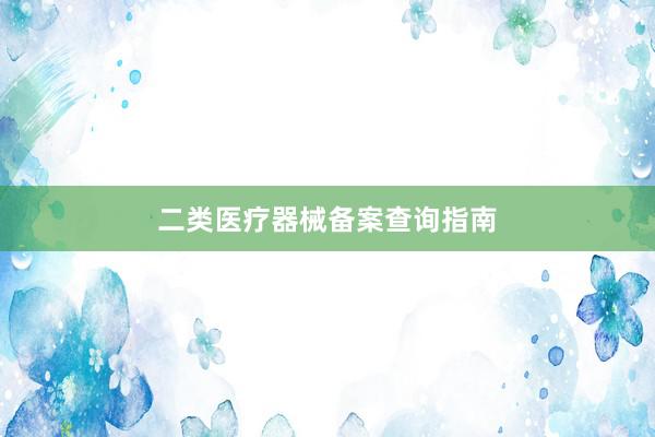 二类医疗器械备案查询指南