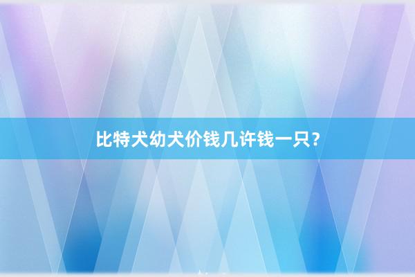 比特犬幼犬价钱几许钱一只?