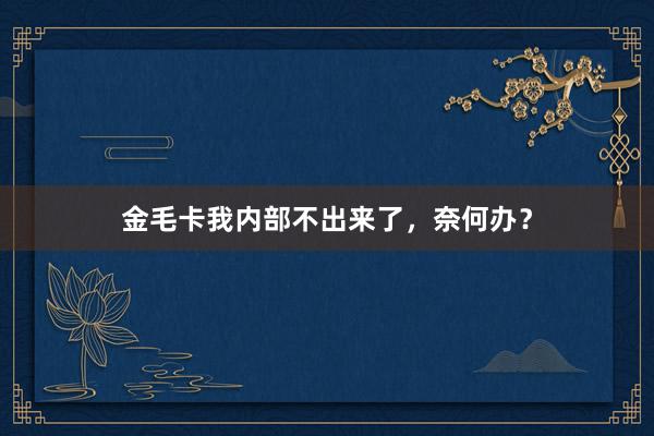 金毛卡我内部不出来了,奈何办?